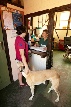 Copied Hall Dog Kennels booking in